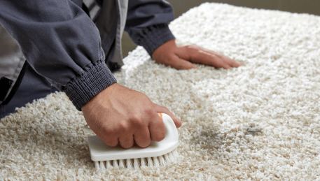 Professional Rug Cleaning Canterbury